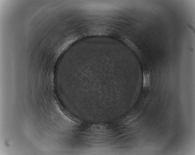 X0000101480627200807211359