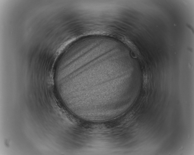 X0000101480628200807211359