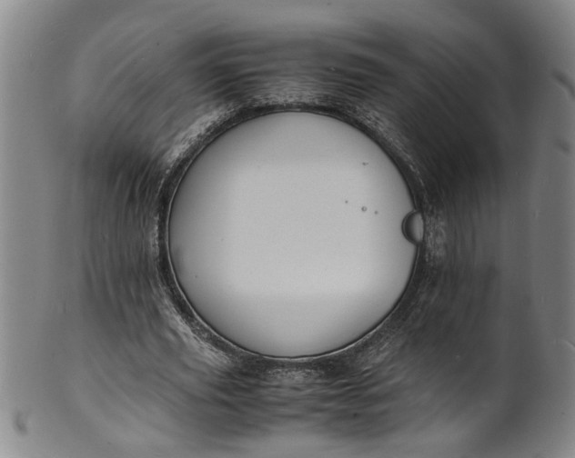 X0000101480629200807211359