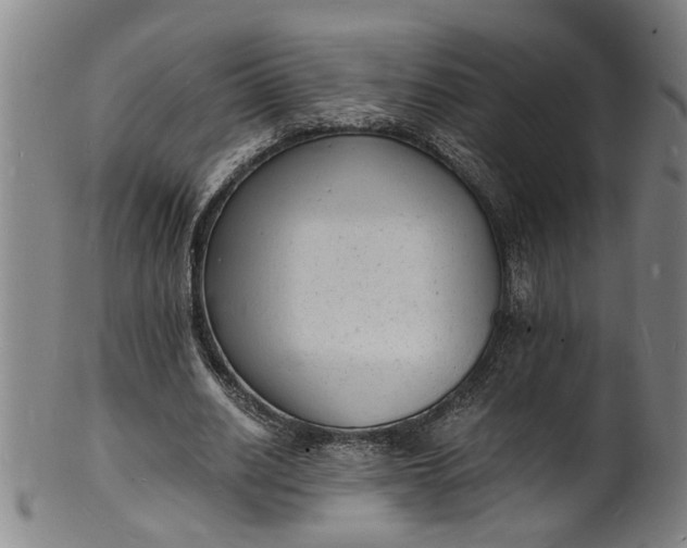 X0000101480630200807211359