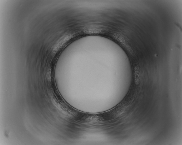 X0000101480631200807211359