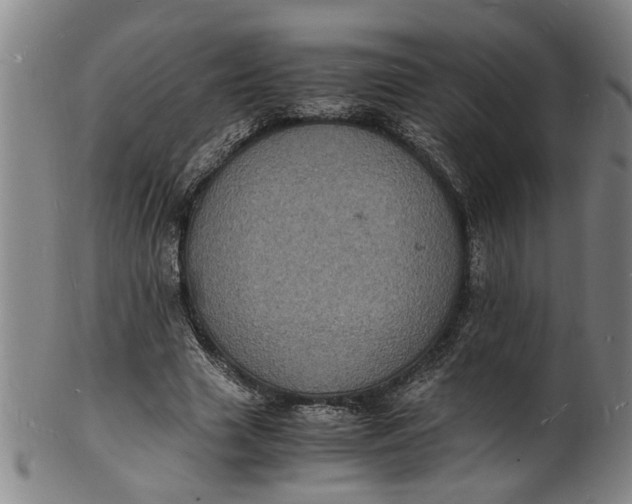 X0000101480633200807211400