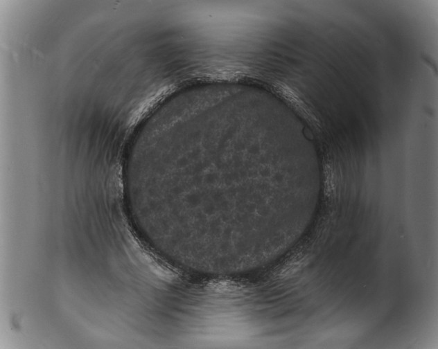 X0000101480634200807211400