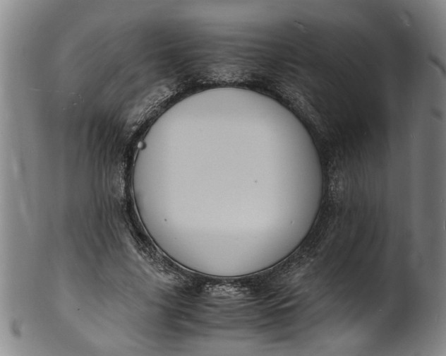 X0000101480635200807211400