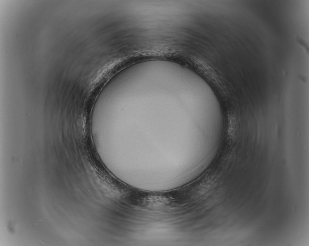 X0000101480636200807211400