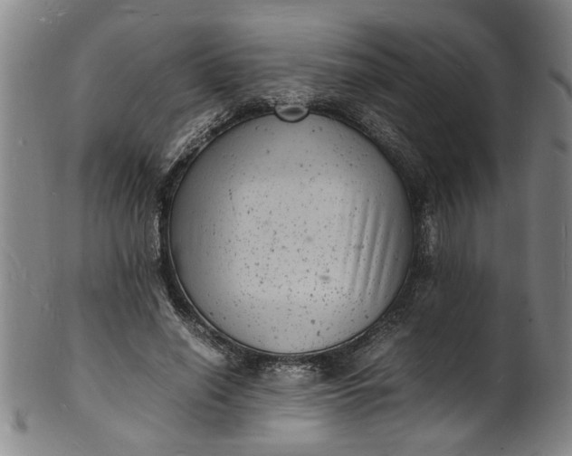 X0000101480638200807211400