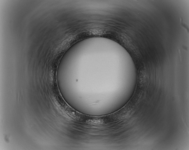 X0000101480639200807211400