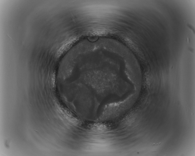 X0000101480640200807211400