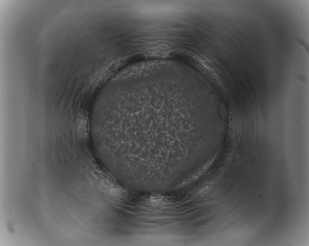 X0000101480641200807211400