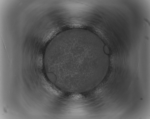 X0000101480642200807211400