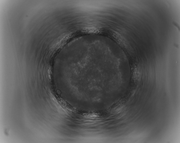 X0000101480643200807211400