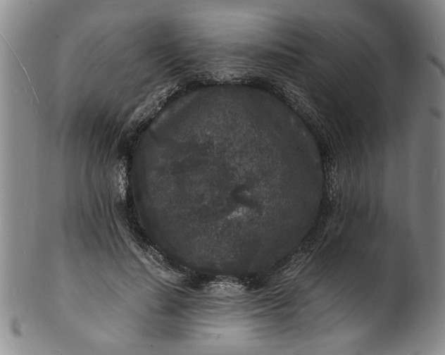 X0000101480644200807211400