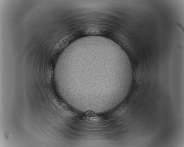 X0000101480645200807211400