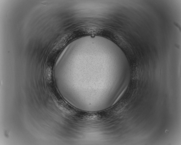 X0000101480646200807211400