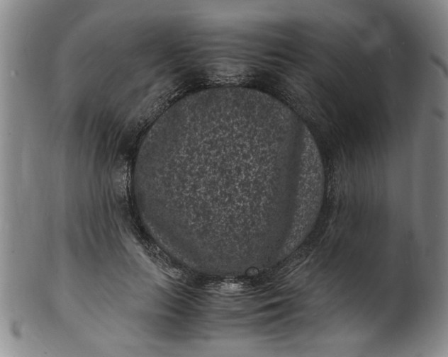 X0000101480647200807211400