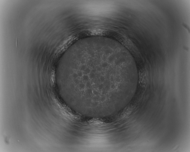 X0000101480648200807211400