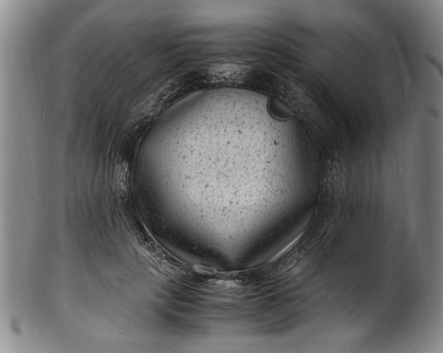 X0000101480649200807211400