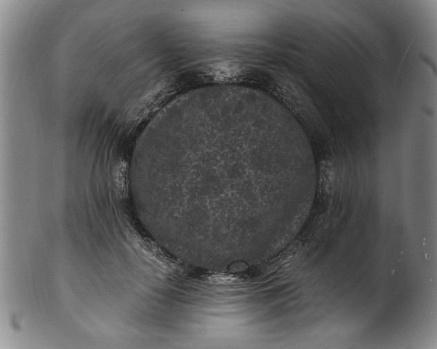 X0000101480650200807211400