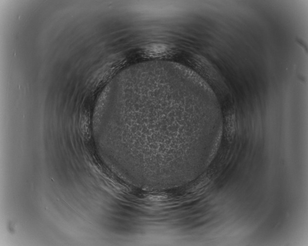 X0000101480653200807211400