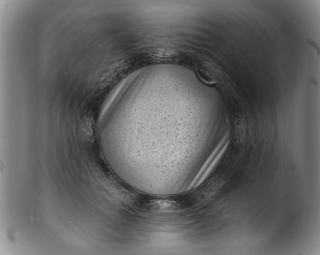 X0000101480654200807211400