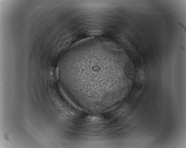 X0000101480655200807211400