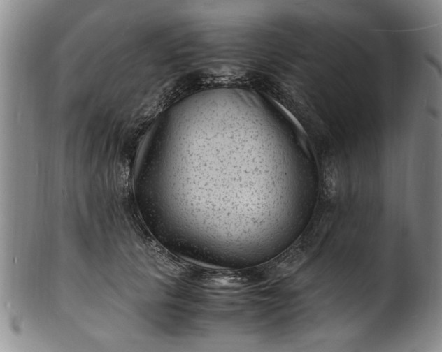 X0000101480657200807211400