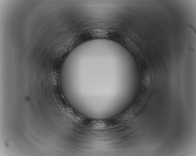 X0000101480658200807211400