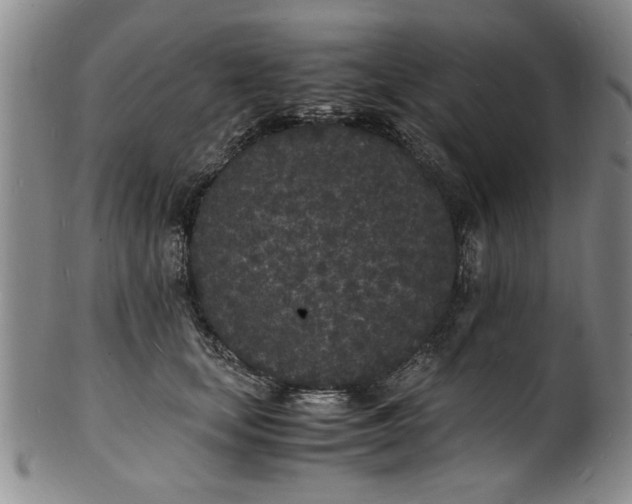 X0000101480659200807211400