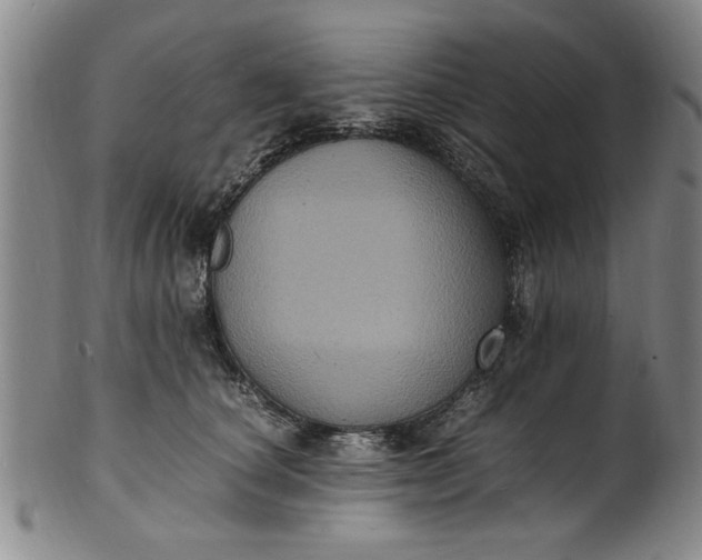 X0000101480660200807211400