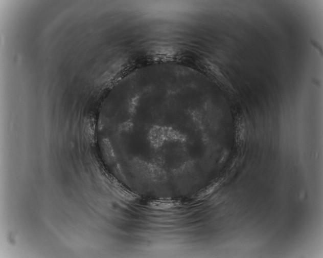 X0000101480661200807211400