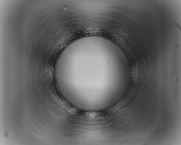 X0000101480662200807211400