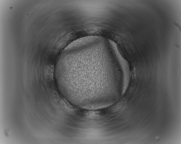 X0000101480664200807211400