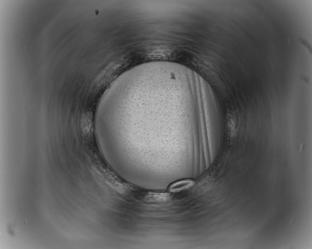 X0000101480665200807211400