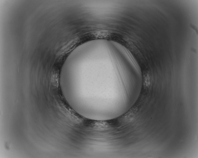 X0000101480666200807211400