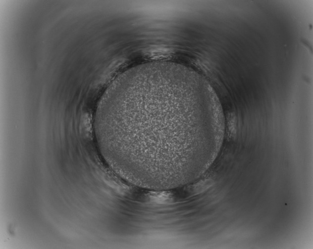 X0000101480667200807211400