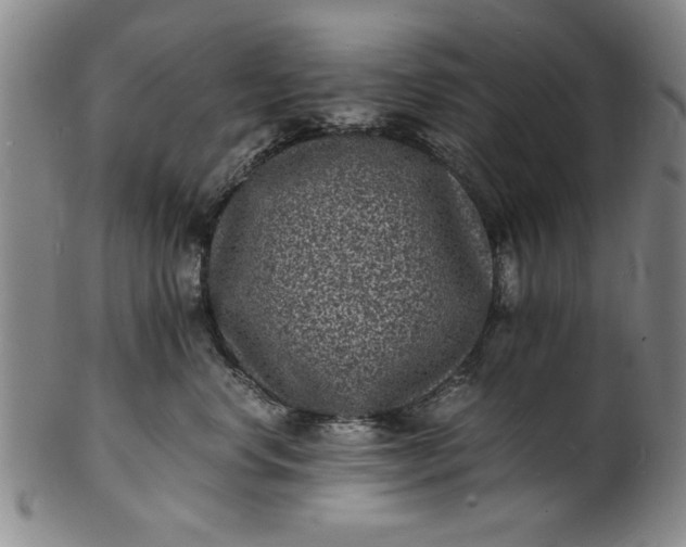 X0000101480668200807211400