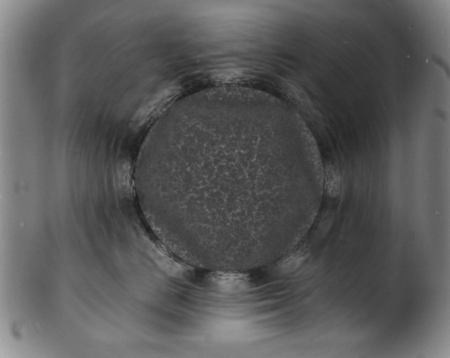 X0000101480670200807211400