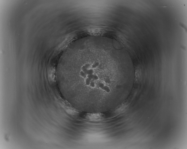 X0000101480671200807211400