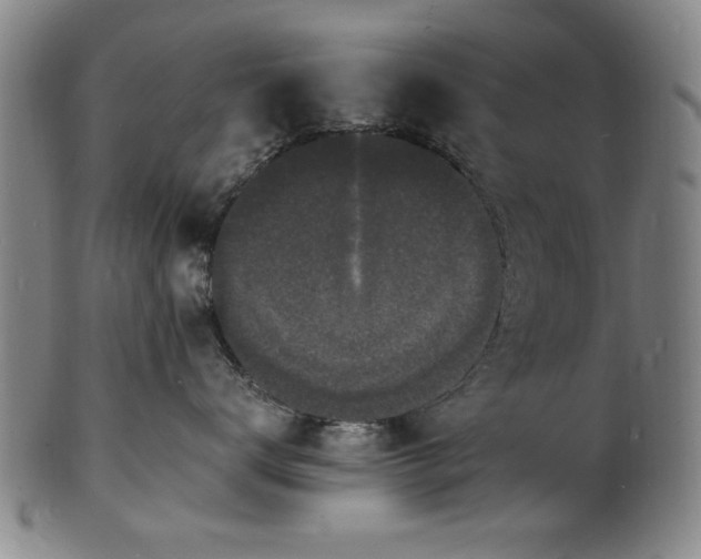 X0000101480672200807211400