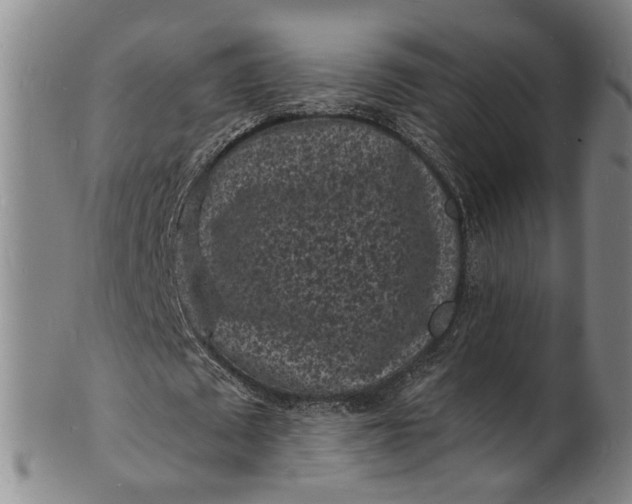 X0000101480673200807211359