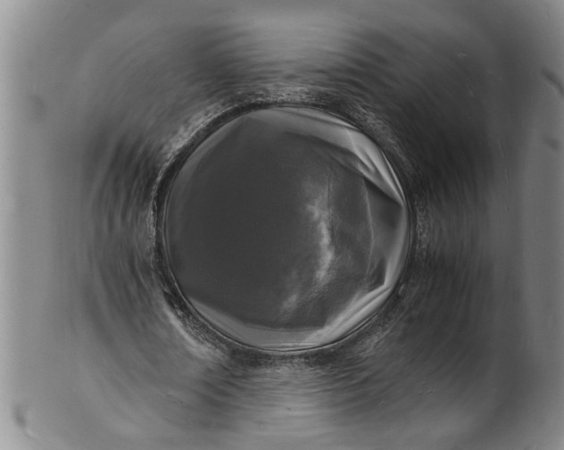 X0000101480674200807211359