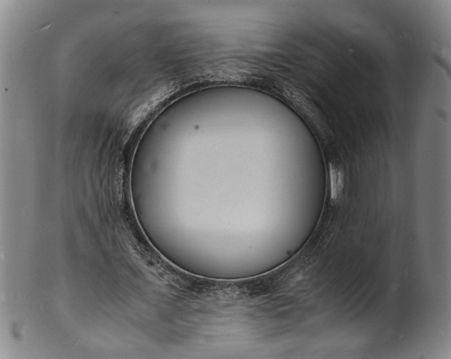 X0000101480675200807211359