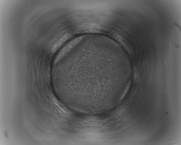 X0000101480677200807211359