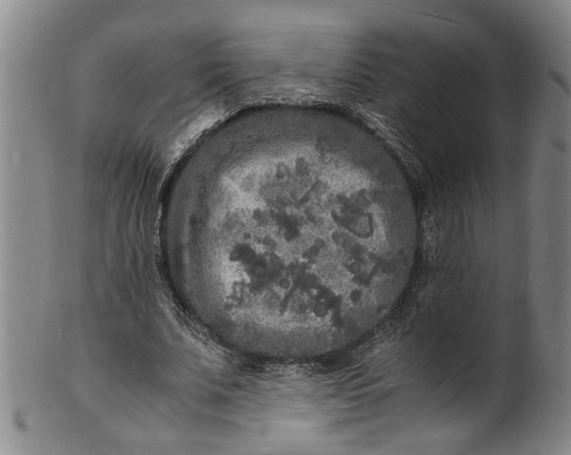 X0000101480679200807211359