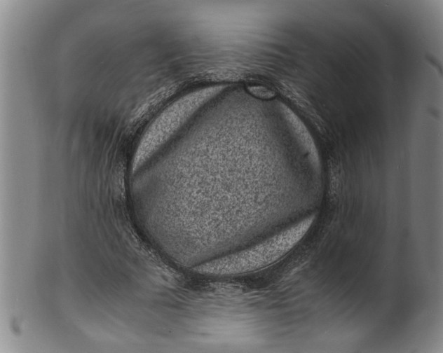 X0000101480681200807211359