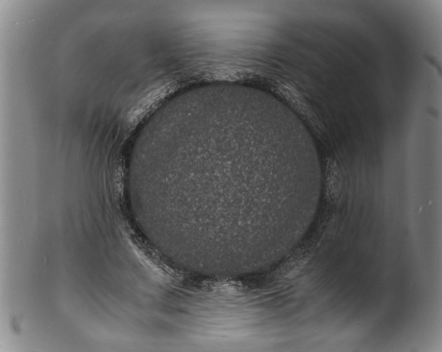 X0000101480683200807211359