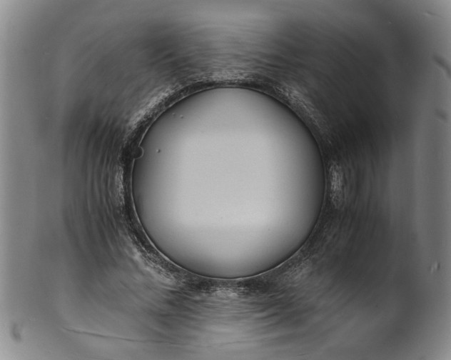 X0000101480684200807211359