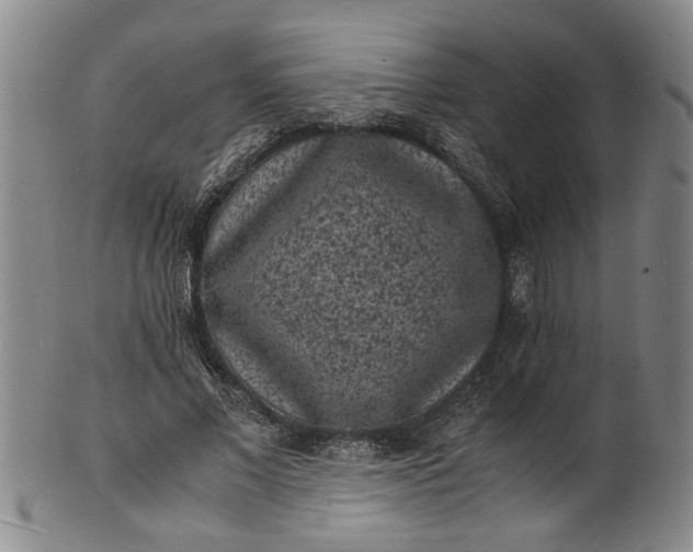 X0000101480685200807211359