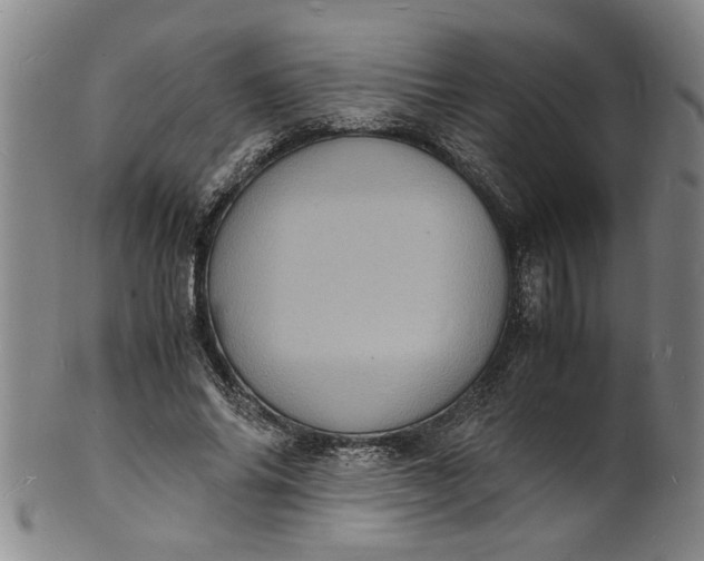 X0000101480686200807211359