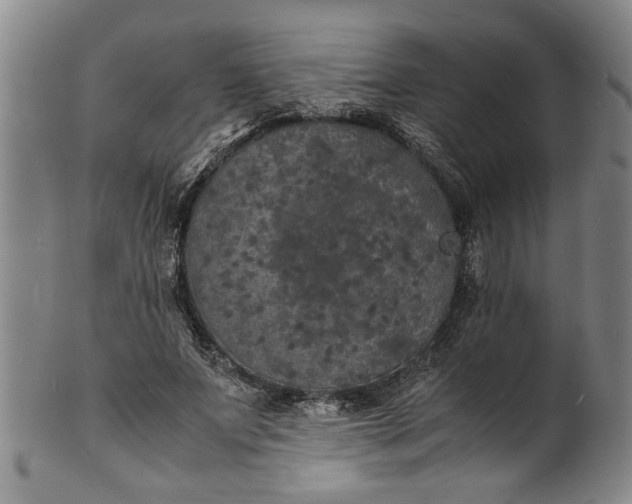 X0000101480687200807211359